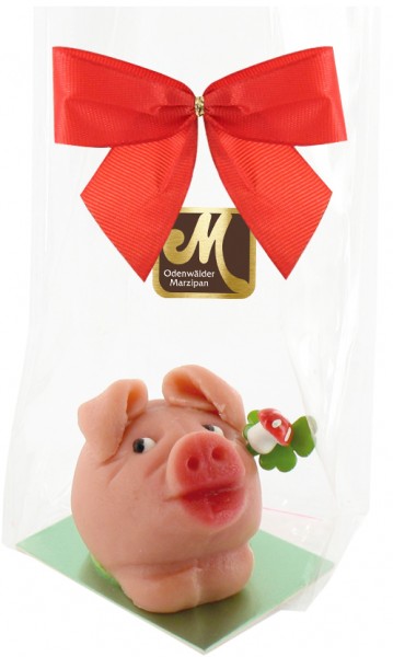 Schwein Schlappi