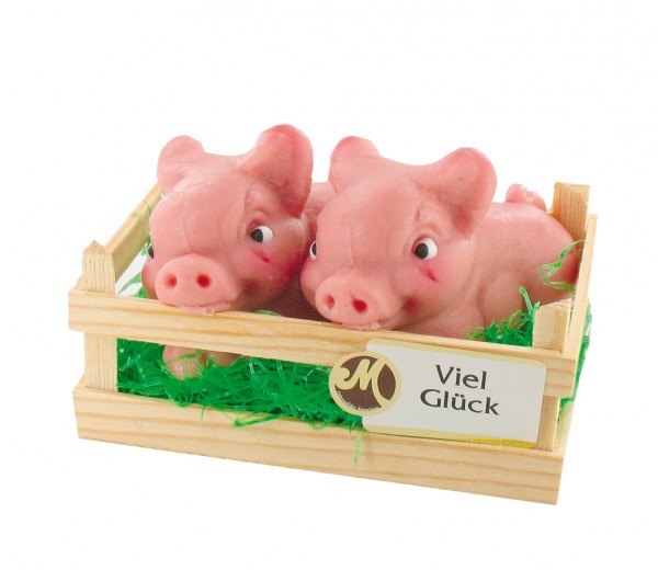 Schweine in der Holzkiste